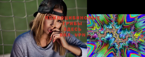 а пвп мука Белокуриха