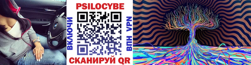 даркнет Telegram  дарнет шоп  Тамбов  Галлюциногенные грибы MAGIC MUSHROOMS  кракен вход 